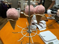 -野人先生现做冰淇淋(北京环宇荟店)
