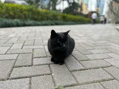 -静安公园(静安寺街道)
