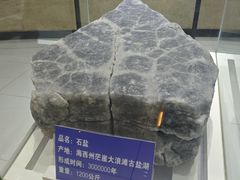 -青藏高原自然博物馆