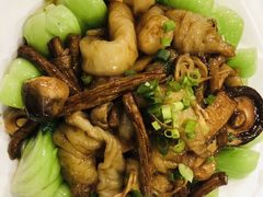 葱汁珍菌烧花胶-广州酒家(文昌总店)