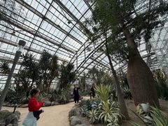 -南山植物园