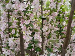 -元大都城垣遗址公园