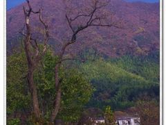 -塔川景区