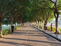 -风云岭森林公园