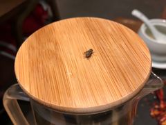 -榕意·川味之美(深业上城店)