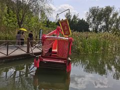 -溱湖国家湿地公园