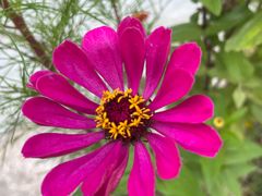 -河南大学(龙子湖校区)