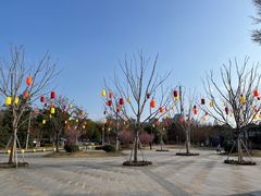 -苏州东太湖生态园
