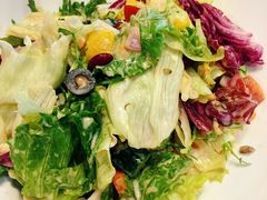 -辛德勒啤酒德餐厅