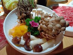 -老灶堂文创火锅(文艺路店)