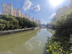 -三林塘老街