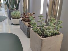 -猫王榴莲世家(三里屯SOHO商场店)