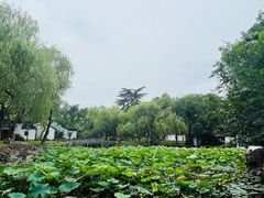 -墅园