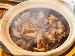 -润园四季椰子鸡火锅(南山海岸城店)