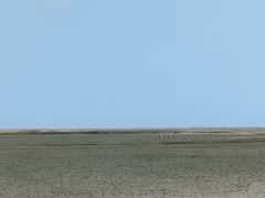 -盐城丹顶鹤湿地生态旅游区