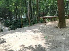 -石燕湖生态旅游景区