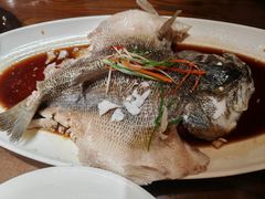 -老瑞福上海菜(人民广场店)