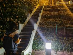 -龙环葡韵住宅式博物馆