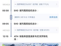 -谢列梅捷沃国际机场