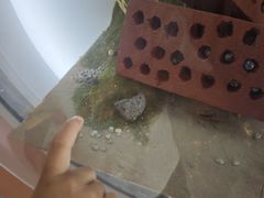 -上海儿童博物馆