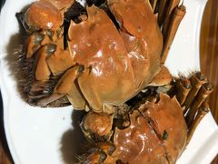 花雕太湖六月黄醉蟹-呼吸森林·生态农庄农家乐私房菜