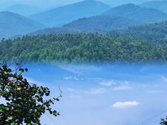 -武陵山森林公园