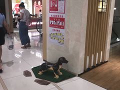 -凯德广场(武胜路店)