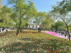 -北陵公园