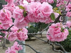 -中医药大学-老3楼餐厅