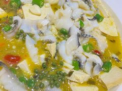 -粗茶淡饭•陕菜•家常菜