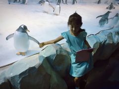 -芜湖新华联大白鲸海洋公园