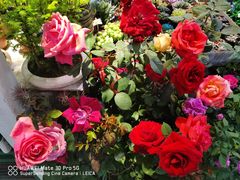 -三旗百汇商品城