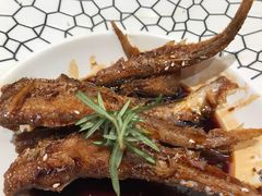 -乾隆美食·本帮菜(黄河路店)