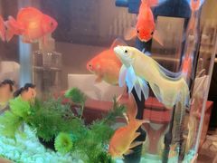 -海底捞火锅(武胜路凯德广场店)