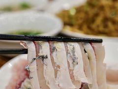 -正能量脆肉鲩火锅