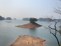 -千岛湖鱼味馆(十字街总店)