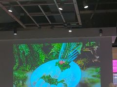 -打酱友•斑鱼海鲜粥火锅(吴桥店)