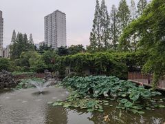 -郑和公园
