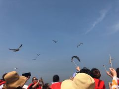 -海驴岛(荣成市)