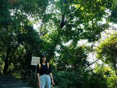 -火炉山森林公园