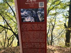 -终南山南五台景区