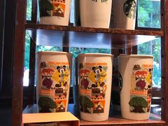 -奥兰多迪士尼动物王国乐园