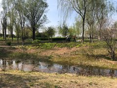 -潇河湿地公园