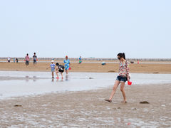 -刘家湾赶海园