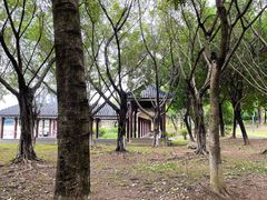 -飞来湖湿地公园