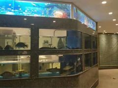 -紫光园(顺义店)