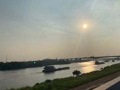 -王借岗森林公园