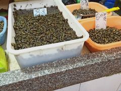 -崂山菜市场(上港小区店)