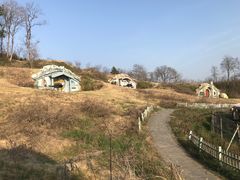 -大塘金香草谷