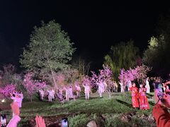 -常德桃花源景区